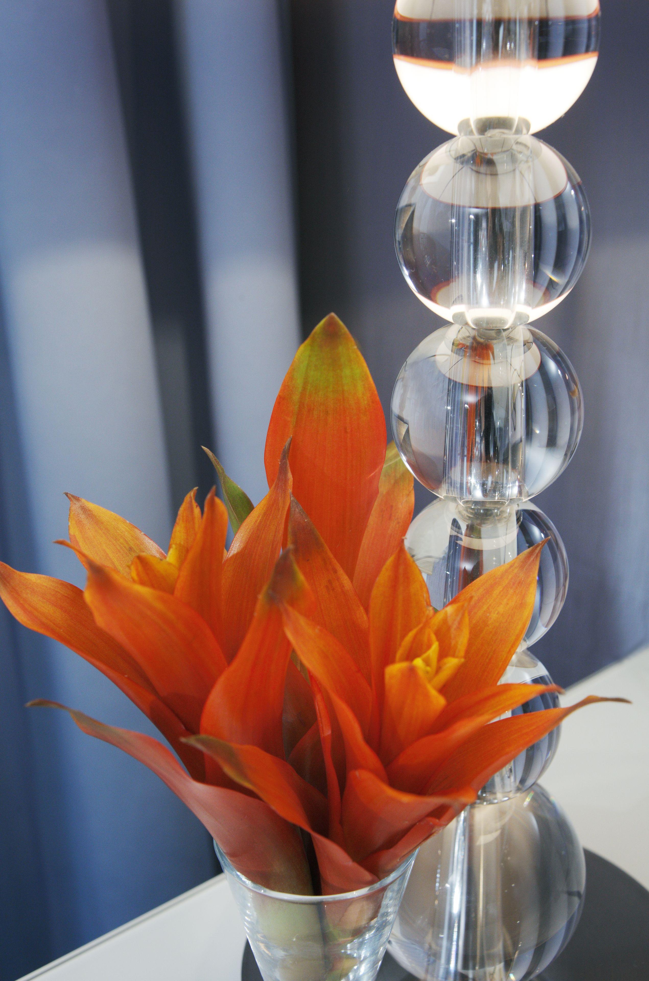 Chateau Frontenac Hotel